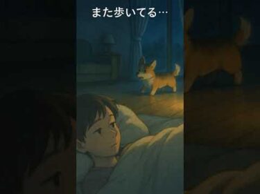 夜中にうろうろしちゃう
