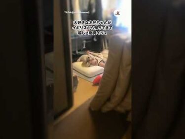 熱烈なおかえりなさい💕｜PECO