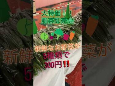 本日野菜即売会開催！　キッチンカーもあるよ！みんな来てね！ #ボートレース三国 #shorts