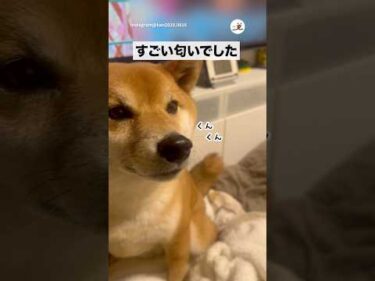 カンくんのプーの匂い｜PECO