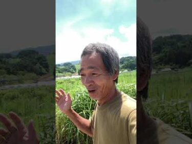 凄い凄い凄い！