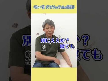 眠い犬と優しいおじさん　#shorts #dog