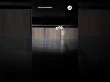 可愛すぎて、ちらっちらっしちゃうやつ☺️｜PECO