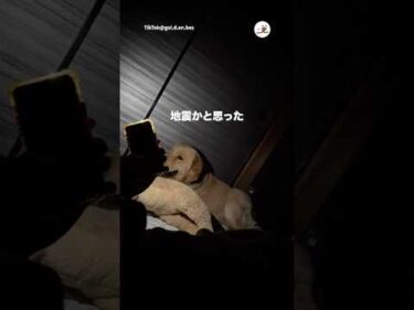 真夜中に襖の音が…笑｜PECO