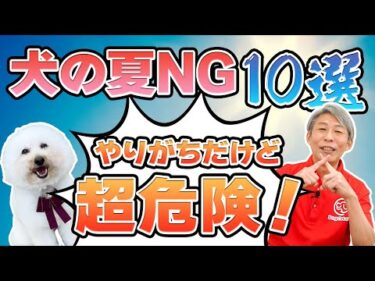 夏に絶対やっちゃダメ！犬に危険なNG行動10選【知らずにやってない？】