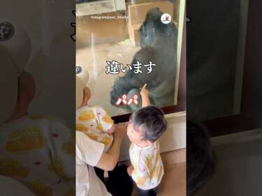ゴリラをパパと呼ぶ子供たち｜PECO