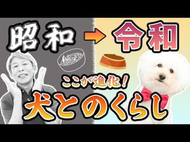 えっ!?それ本当？昭和の犬の飼い方と今の新常識をドッグトレーナーが解説【犬とのくらし】