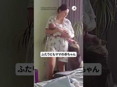 ふたりともママの赤ちゃん｜PECO