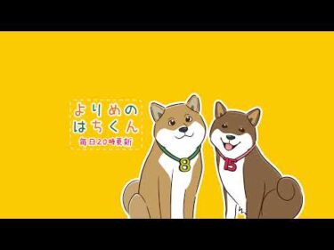 よりめのはちくん。 のライブ配信