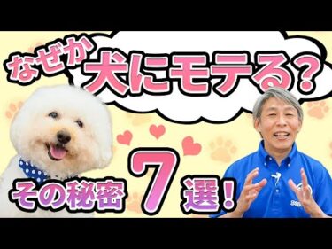 犬に好かれる人の特徴とは？犬はどうしてドッグトレーナーに懐くのか?を解説