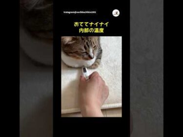 おててナイナイ内部の温度は？｜PECO