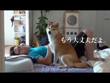 落ち込む柴犬にまさかの救世主登場！状況が一変しました。