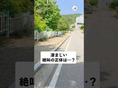 ジョギングの帰り道、鳴き声の正体はまさかの…！｜PECO