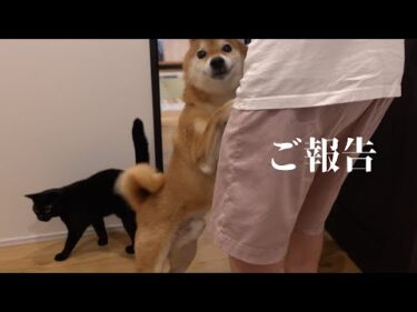【ご報告】Qパパの手術に関して。本当にありがとうございました。