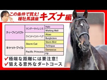 【競馬予想】今週から使える！キズナ産駒の狙える条件＆狙えない条件【種牡馬辞典①】