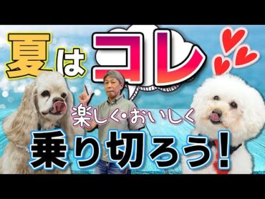 愛犬が大喜び！夏にぴったりの冷たい手作りおやつ4選