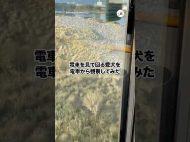 愛犬を電車から見てみたら…｜PECO
