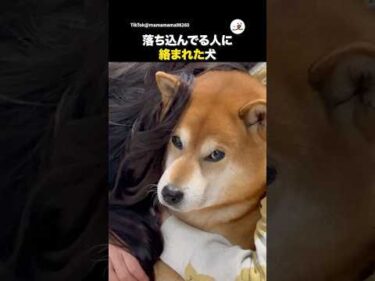 落ち込んでる人に絡まれる犬｜PECO
