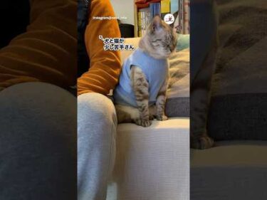 仲良くなるための忍耐力すごい｜PECO