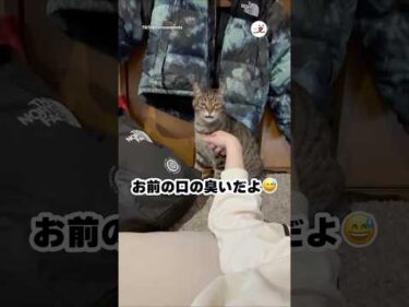君だよ、君｜PECO
