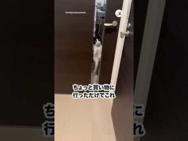 へばりついてる笑｜PECO
