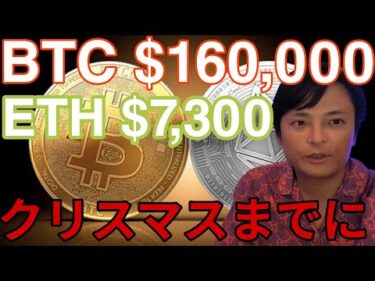 BTC16万ドル(2,400万円) ETH7,300ドル(107万円) Xmasまでに到達【仮想通貨】