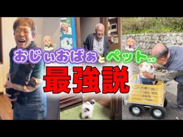ペットと一緒だと、甘々になっちゃう姿に癒される…｜PECO