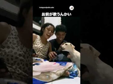 歌い出したのは…｜PECO