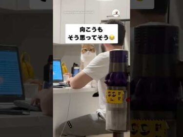 明らかに敵を見る目｜PECO
