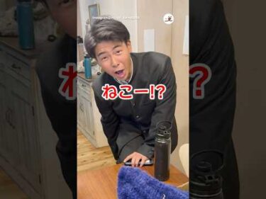 保護子猫と対面した家族のリアクション｜PECO