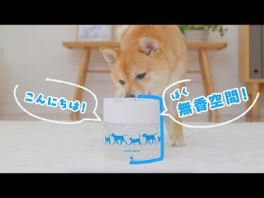 【ペット用無香空間】ペットのニオイ専門の無香消臭ビーズ