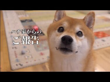 これまで応援してくださった皆様へ大切なご報告。