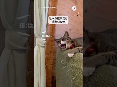 母のときだけいいお返事｜PECO
