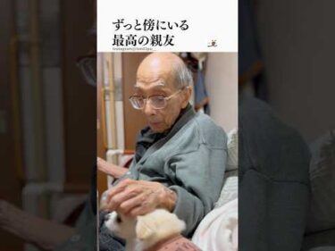 大好きなおじいちゃんとの優しい想い出｜PECO #shorts