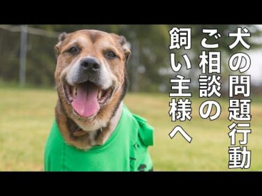 犬の問題行動について