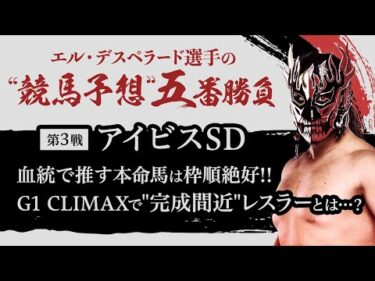 【エル・デスペラード選手 × netkeiba #3】G1CLIMAX35振り返り&”競馬予想”五番勝負「アイビスSD編」
