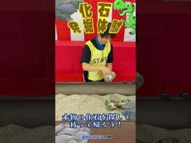 縁日ザウルス２０２５開催！化石発掘体験や縁日もあるよ♪お祭りワッショイ♪#ボートレース三国 #shorts