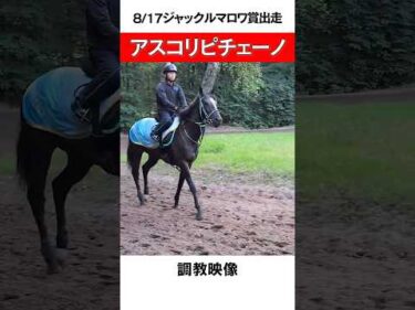 【アスコリピチェーノ調教映像】ジャックルマロワ賞🇯🇵日本馬27年ぶりVなるか!? #shorts #競馬 #horserace #ジャックルマロワ賞 #アスコリピチェーノ #Ascoli Piceno