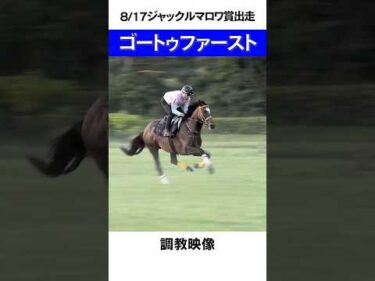 【ゴートゥファースト調教映像】ジャックルマロワ賞🇯🇵日本馬27年ぶりVなるか!? #shorts #競馬 #horserace #ジャックルマロワ賞 #ゴートゥファースト #Go to First