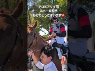 ギヨームドルナノ賞優勝おめでとう！　#競馬 #ルメール騎手 #アロヒアリイ #shorts