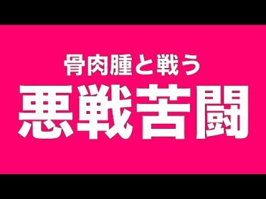 【骨肉腫と戦う保護犬】悪戦してます