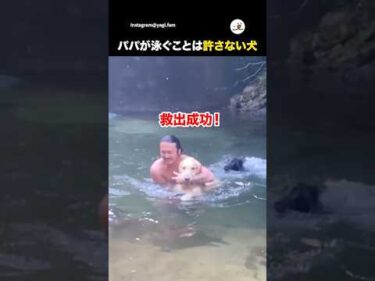 泳げない！！😂｜PECO