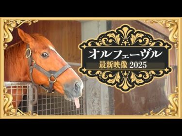 【ステゴ一族オルフェーヴル】社台スタリオンSで種牡馬として活躍する“金色の暴君”の今