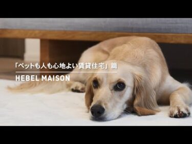 HEBEL MAISON｜ペットが幸せ、というしあわせ。