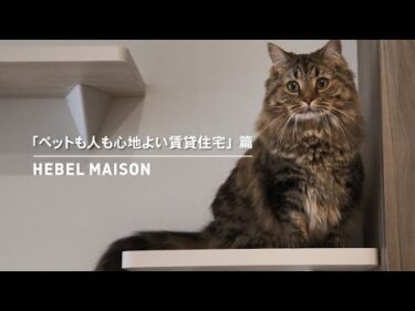 HEBEL MAISON｜ペットが幸せ、というしあわせ。