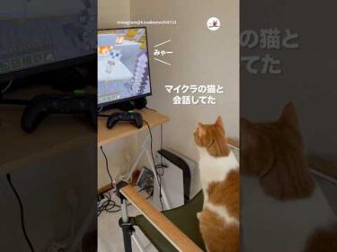 何話してるの？😂｜PECO