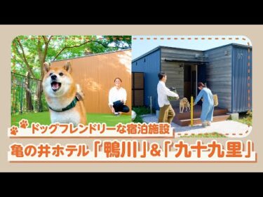 専用ドッグラン付き！新しくなった「亀の井ホテル 鴨川」＆「亀の井ホテル 九十九里」