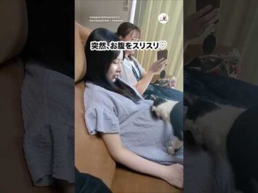 赤ちゃんがいるの分かってる☺️｜PECO