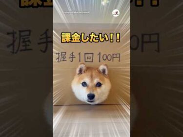 握手1回100円ってマ！？【ぺこどん】｜PECO