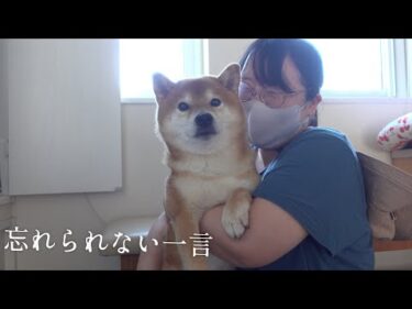 亡き父が大好きだった柴犬秋祭り。父の一言が頭から離れません。